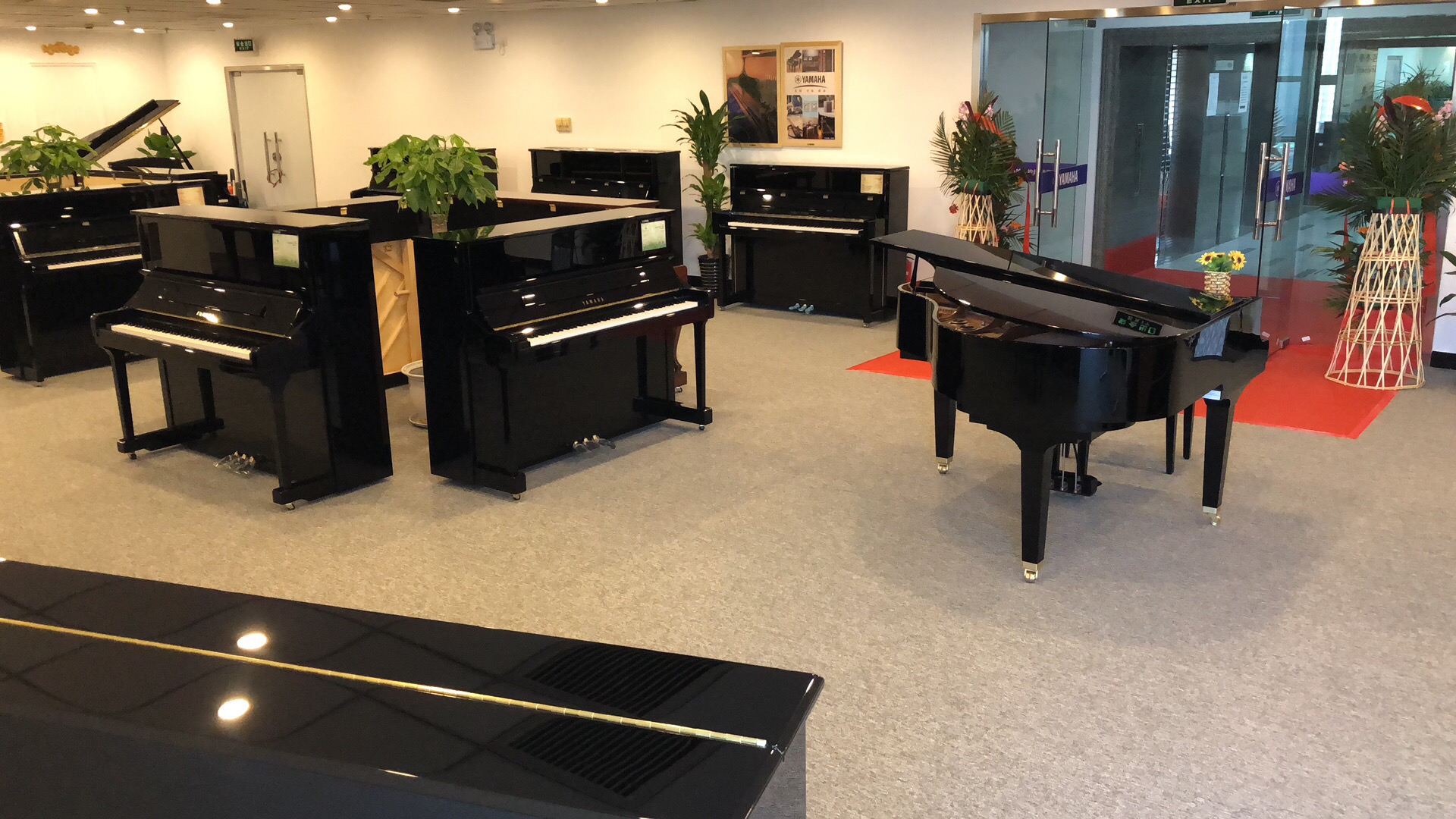 皇族钢琴品牌+空间设计丨我和一个800万投资的项目_谢安妮野生设计师-站酷ZCOOL