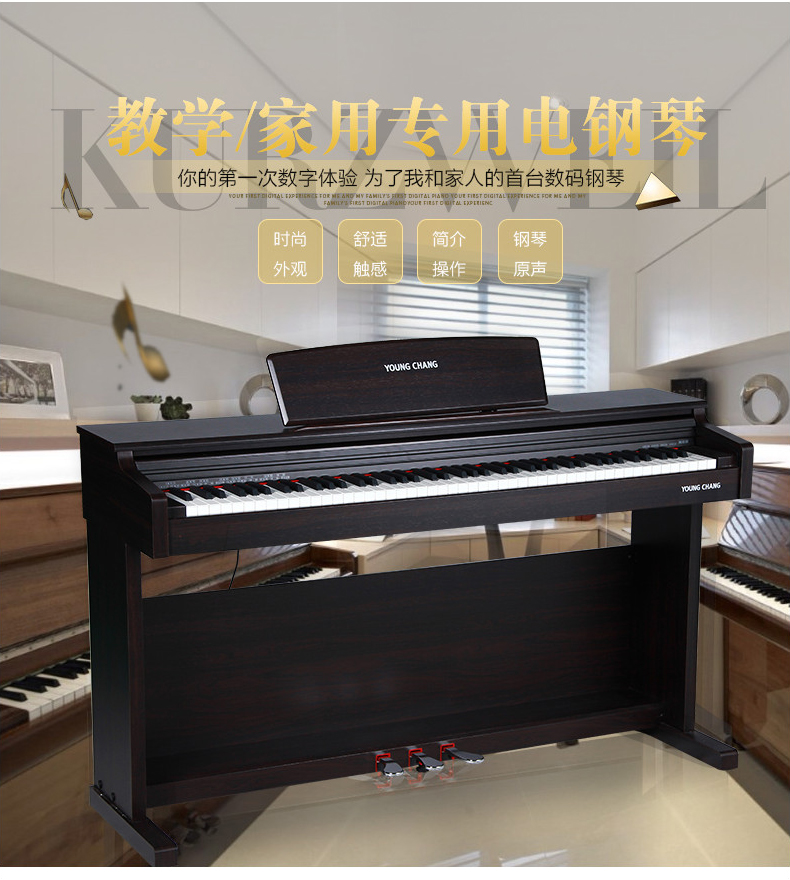 英昌电钢琴KC8图片