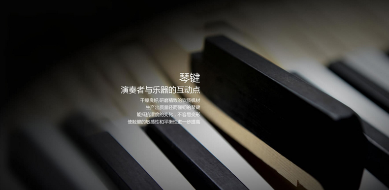 英昌钢琴YP123L5 AWCP（59周年纪念版）图片